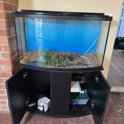 Fish Tank
