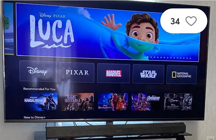 55 " FLAT SCREEN TELEVISION