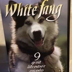 DVD- Cd WHITE FANG- Adventures