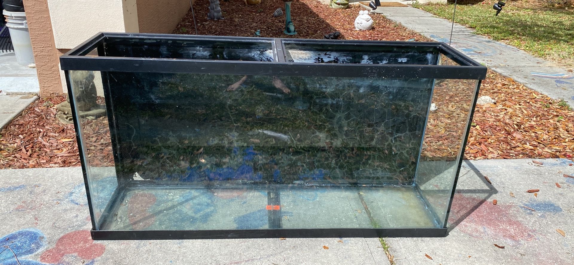 60 Gallon Fish Tank