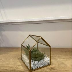 Succulent Gold House Terrarium 