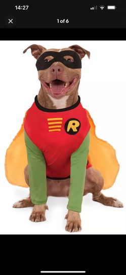 Dog Robin Halloween Costume XXL