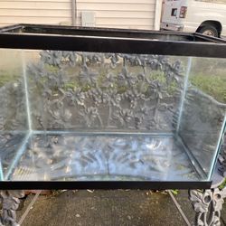 20 gallon tank ( No Lid ) 