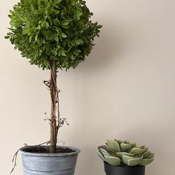 Two artificial  Green plant decorations