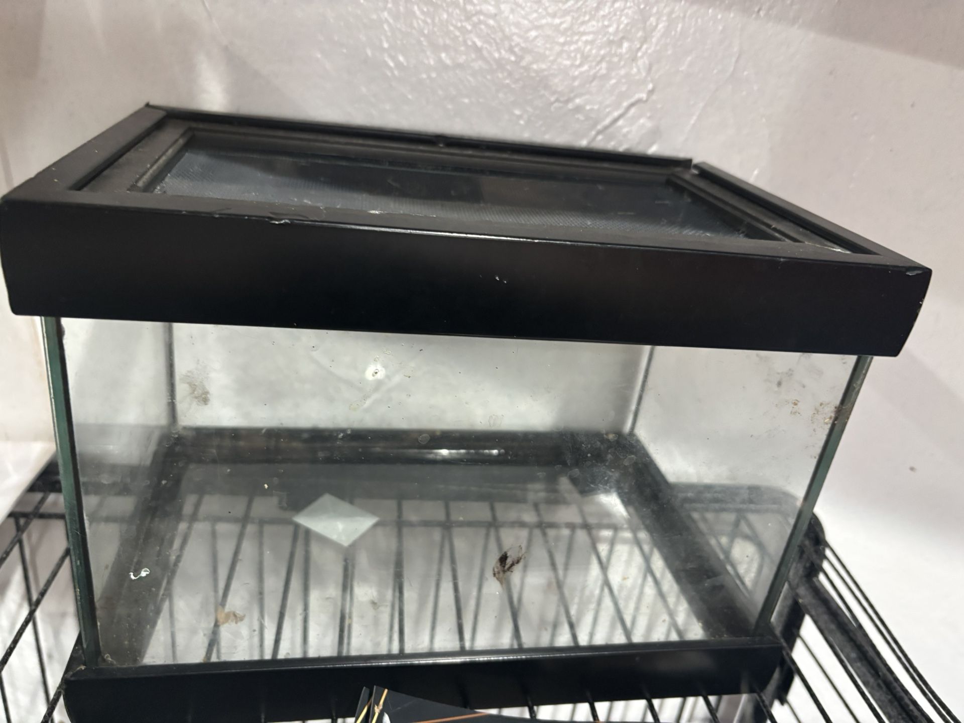 Reptile Tank