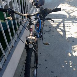 Bicicleta