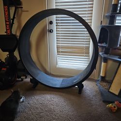 Cat Wheel