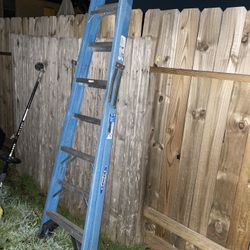 8ft Ladder