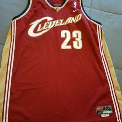 Nike Cavaliers LeBron James jersey
