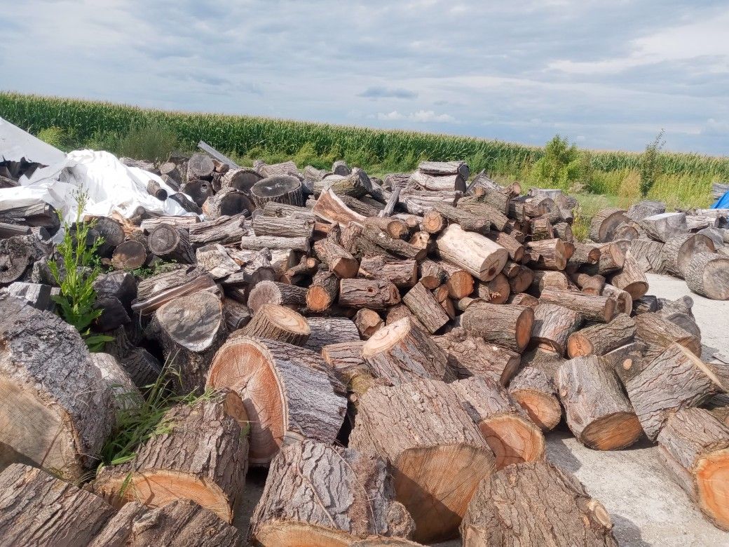 Firewood