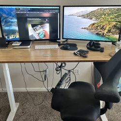 Jarvis Bamboo Standing Desk And Capisco Office Chair