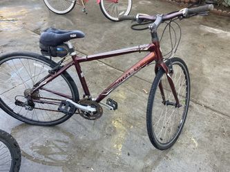 Trail Bike