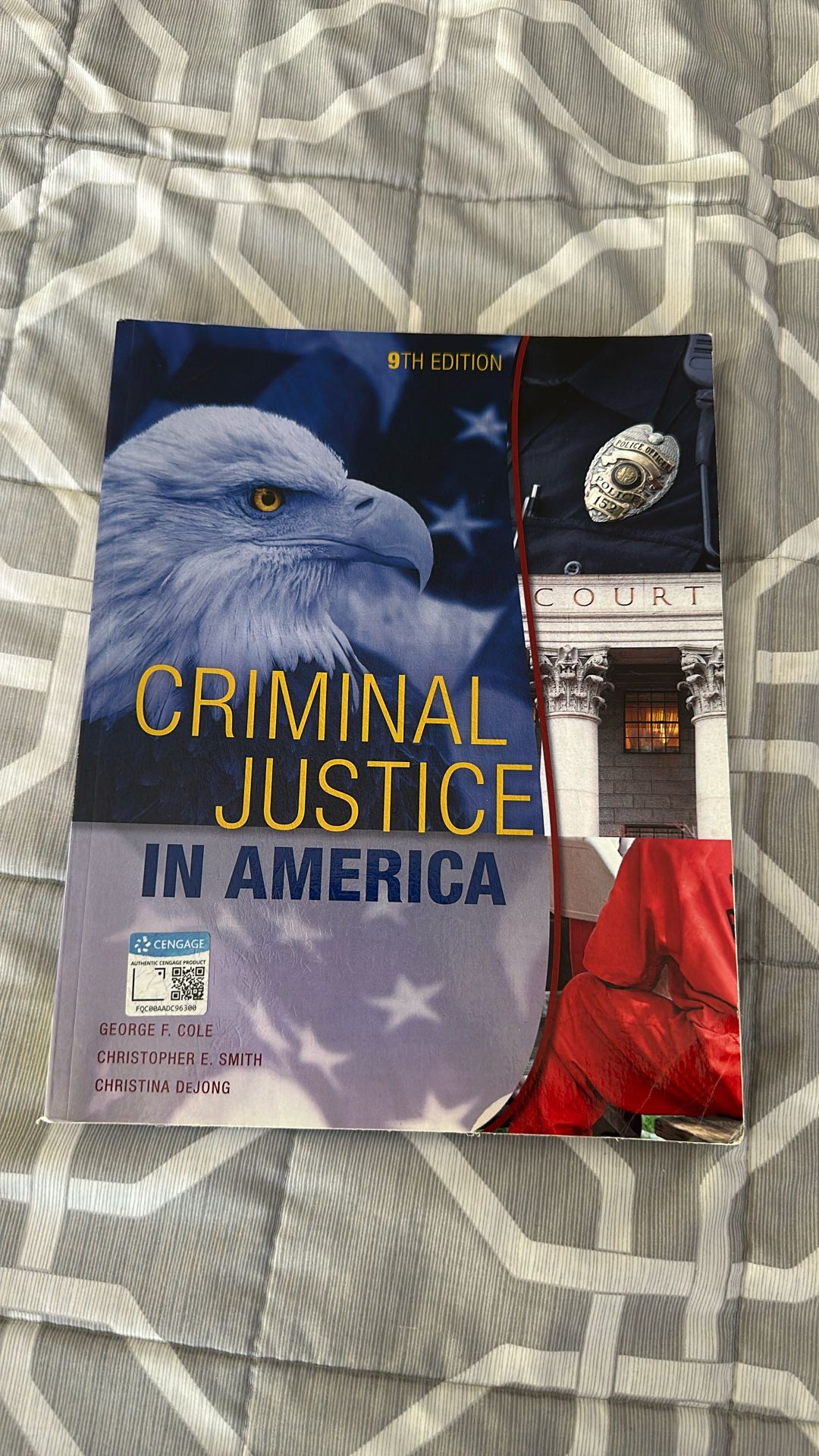 Criminal Justice In America