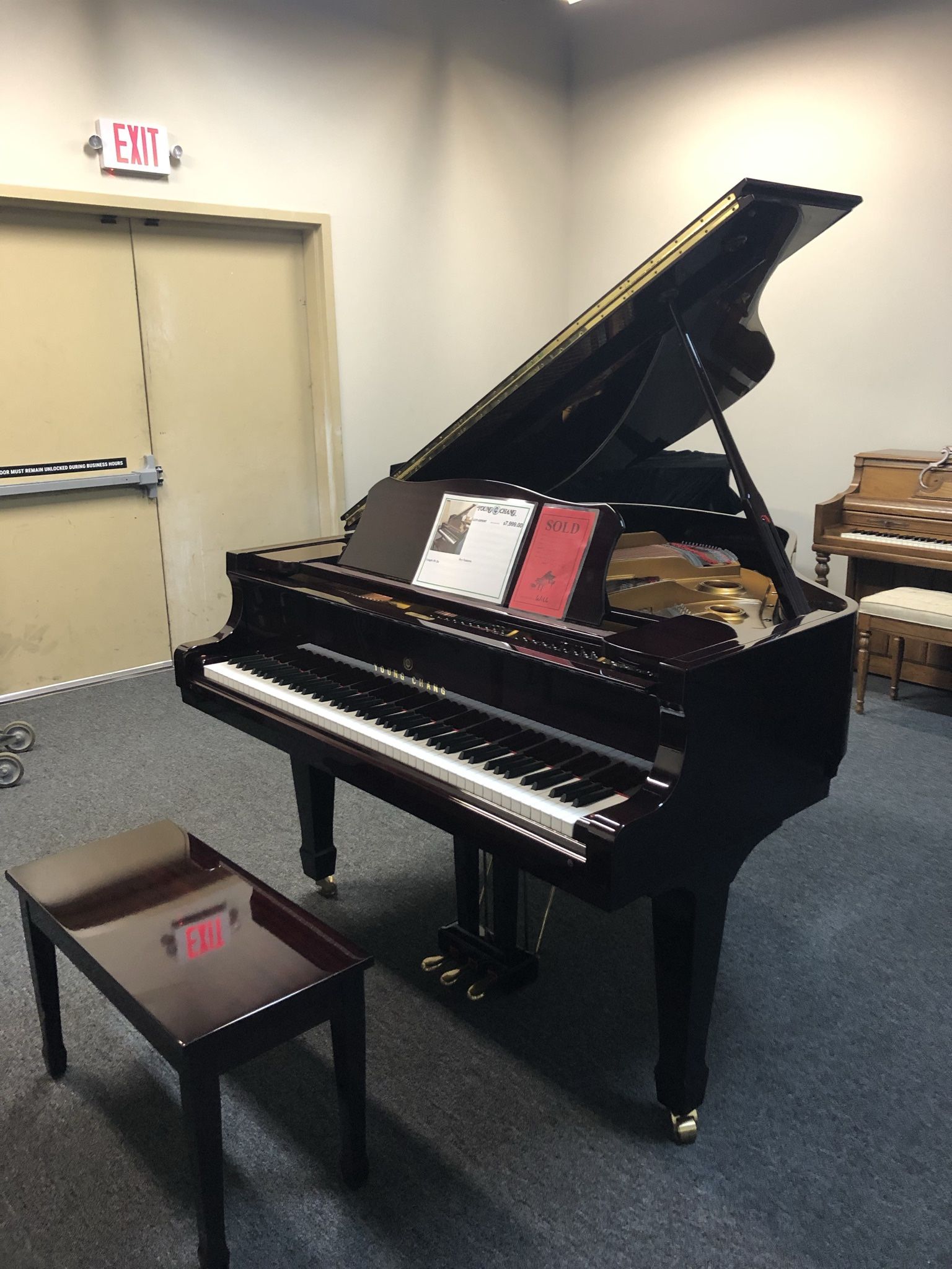 Beautiful Piano W Player