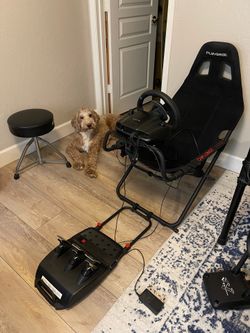 Logitech G29 and Playseat Challenge Racing Sim Starter Pack