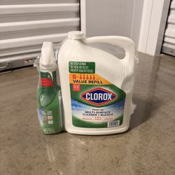 Clorox Multi Surface Cleaner + Bleach