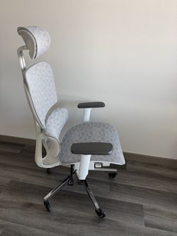 Ergonomic Office Chair