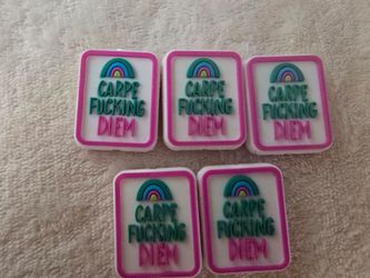 Carpe Fucking Diem Focal Beads