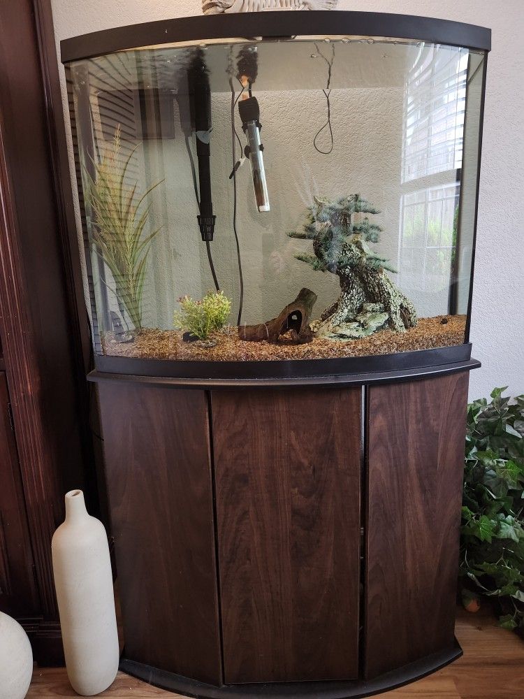 Aquarium & Stand