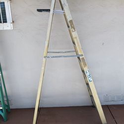 6 & 8 Ft Ladders 
