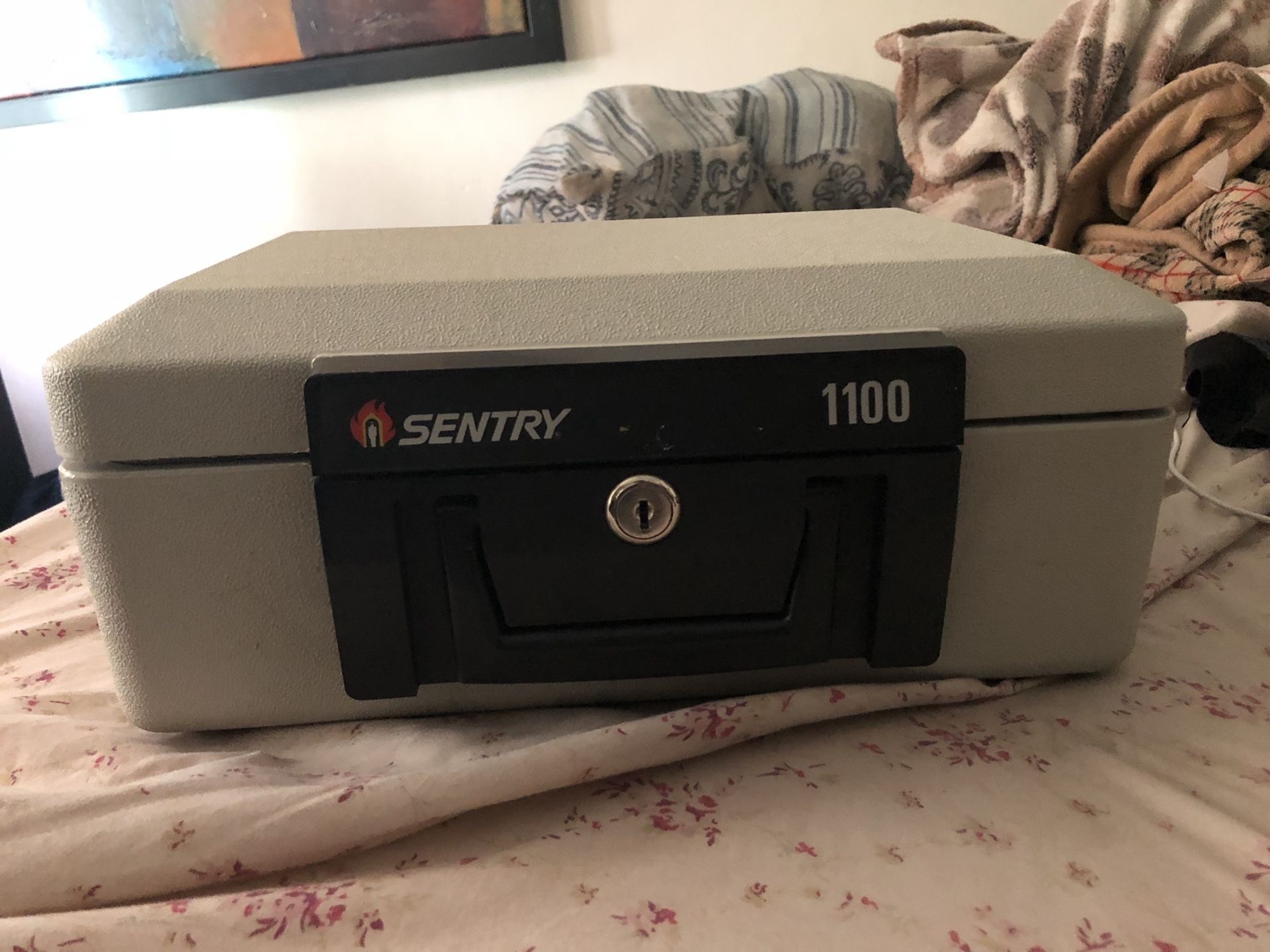 Sentry 1100 safe
