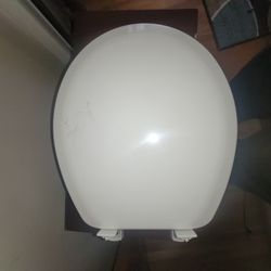 Toilet Seat 