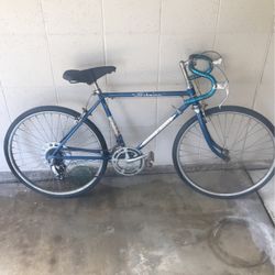 Schwinn Varsity 10 Speed ( 16 Inch Frame, 24 Inch Wheels )
