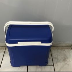Igloo Cooler