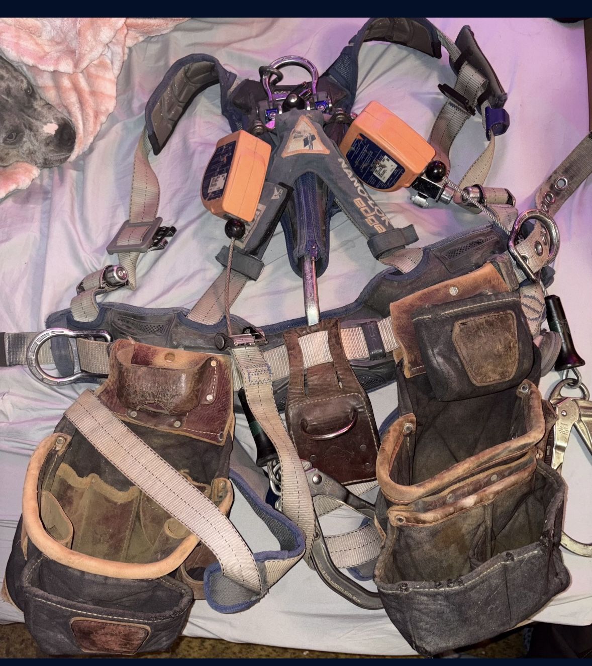 Sala Exofit Strata Climbing Harness