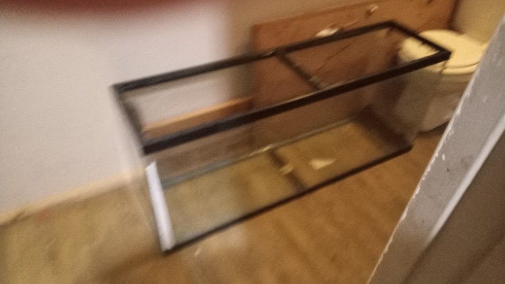 Fish Tank With Every Thing With It