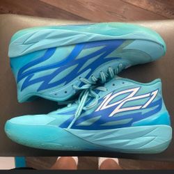 Lamelos Pumas