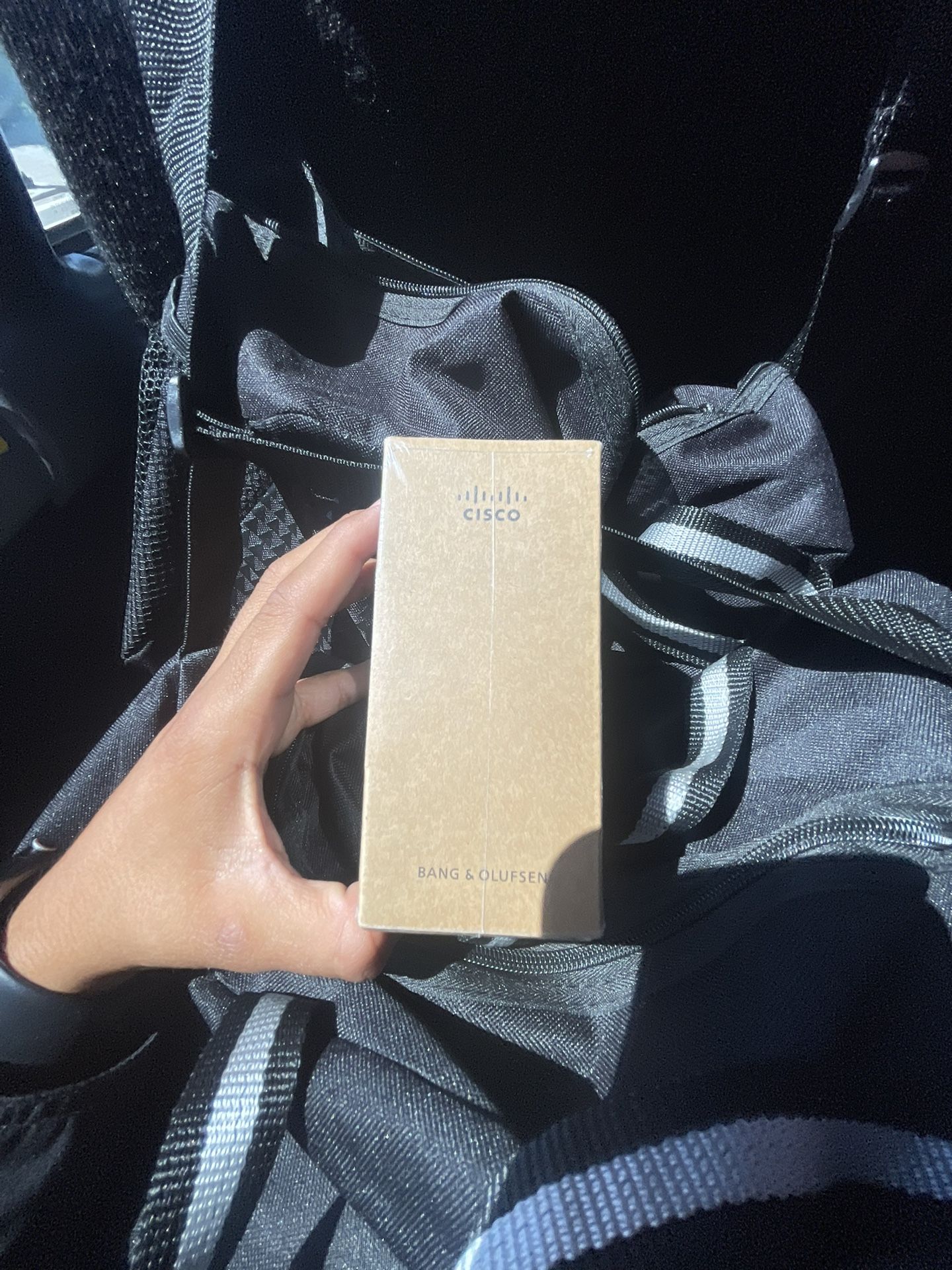 Bang & Olufsen X Cisco Earbuds 950
