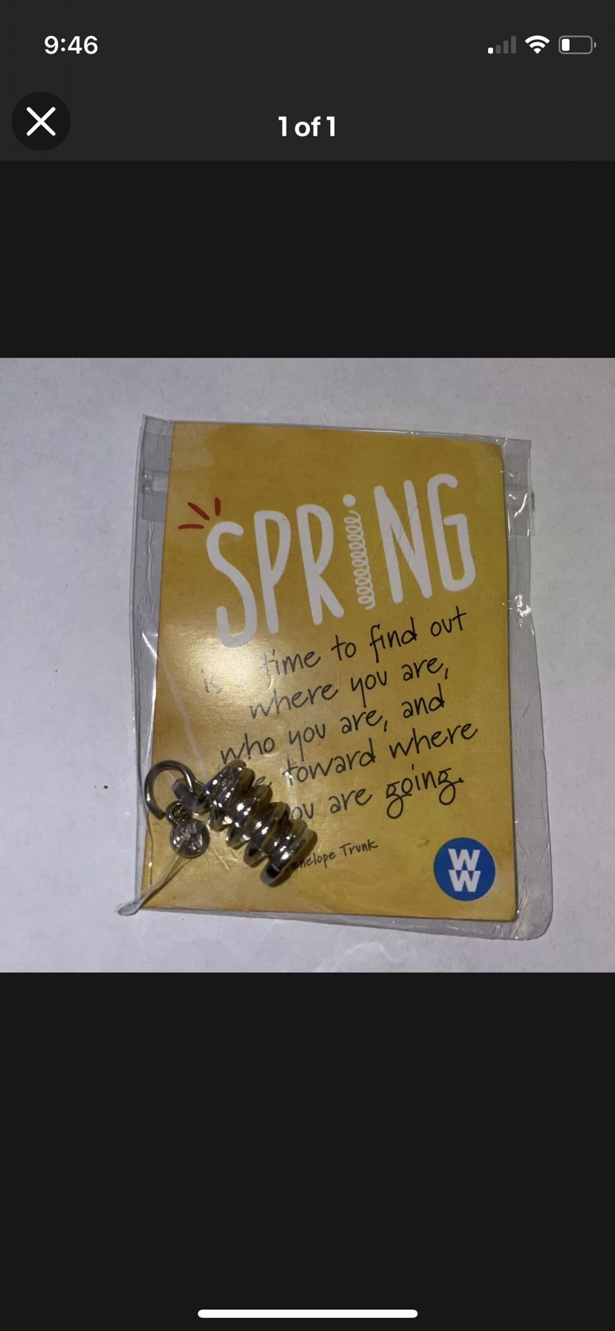 Weight Watchers WW Spring Coil Charm Award Silver Finish Jewelery