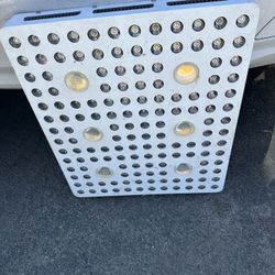 Philizon Led Grow Light 600 Watt