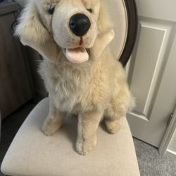 Plush Plush Stuffed Animal Dog
