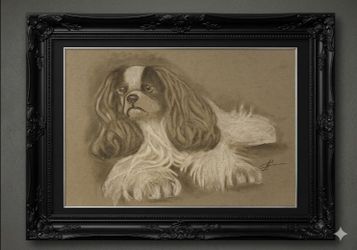 Pencil Drawing on toned paper " Spaniel "11x14