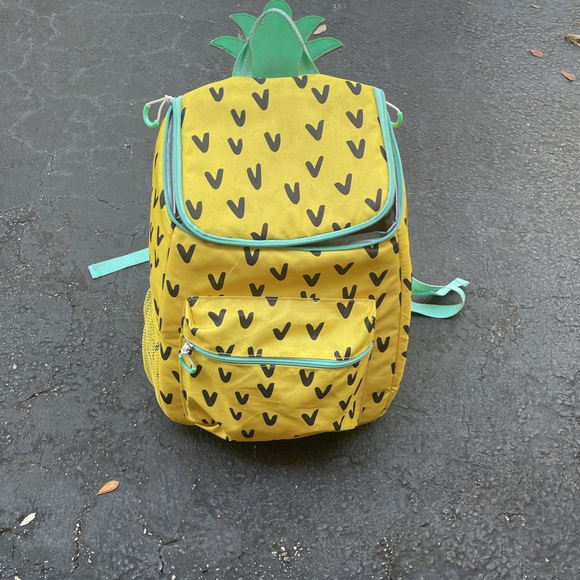 Insulated Pineapple Backpack 