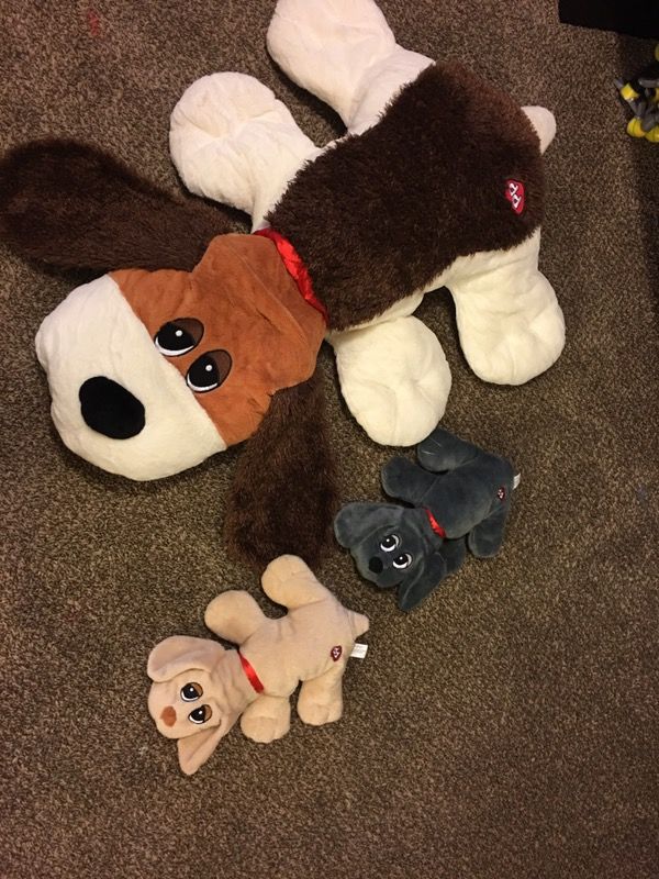 3 Pound Puppies