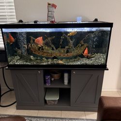 Fish tank(fish Not Included)