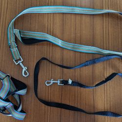 Small Dog Leashes And Harness