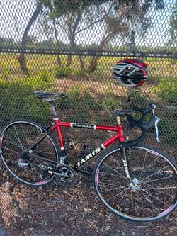 Jamie road bike with carbon forks, carbon tail size 51,52