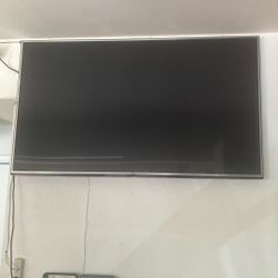 LG  65” Television 