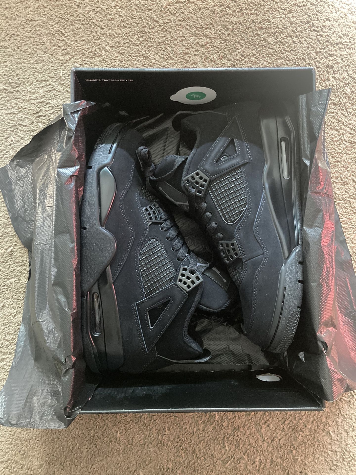 Air Jordan 4 Black cats