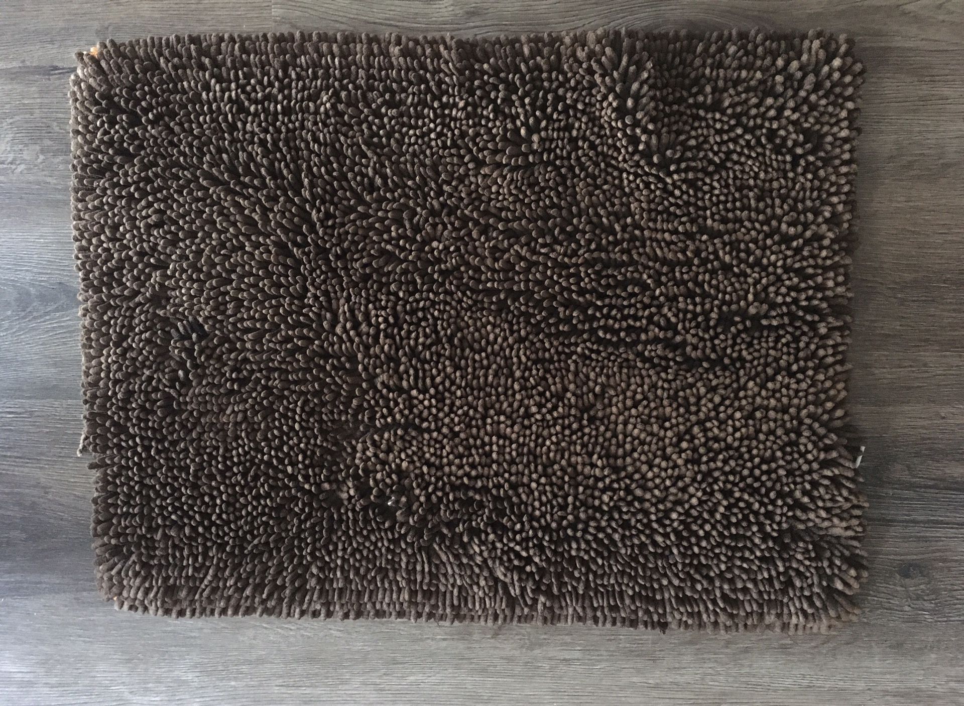 Absorbent dog rug