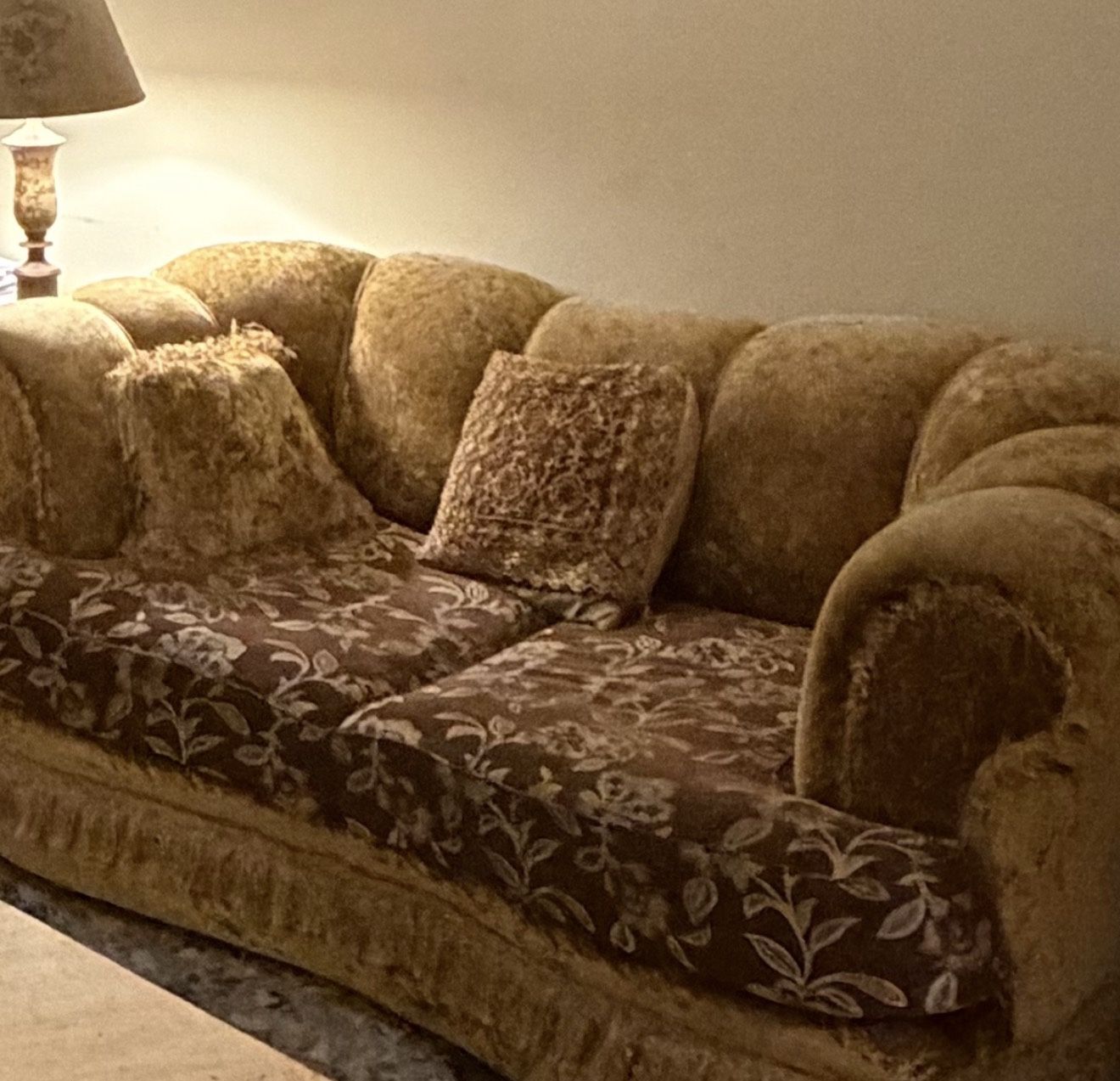 Couches/Coffee table