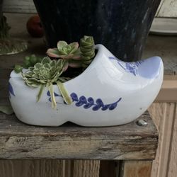 Pot With Succulents 