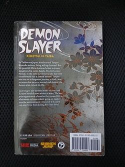 Demon slayer book 1