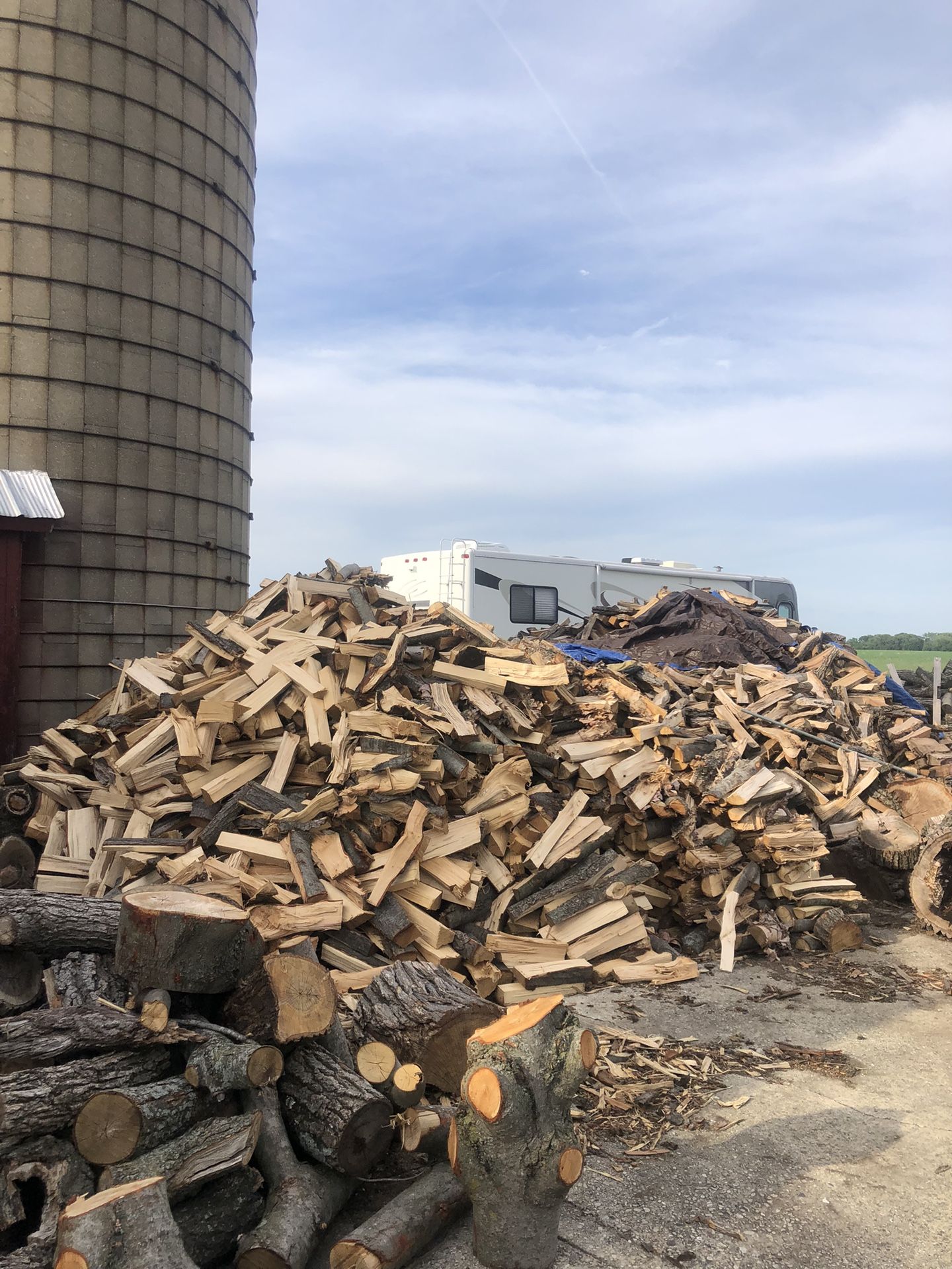 Firewood