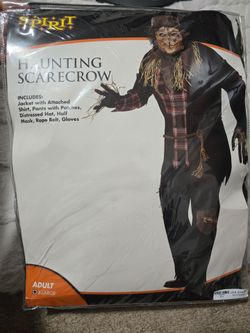 Men scarecrow costum