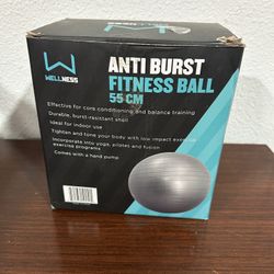 Anti Burst Fitness Ball